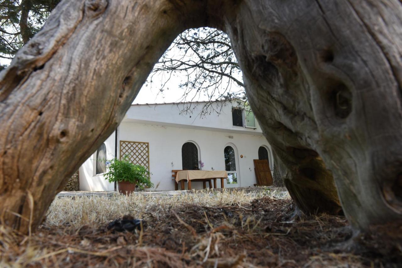 B&B Parco Del Lamione Gioia Del Colle Zewnętrze zdjęcie